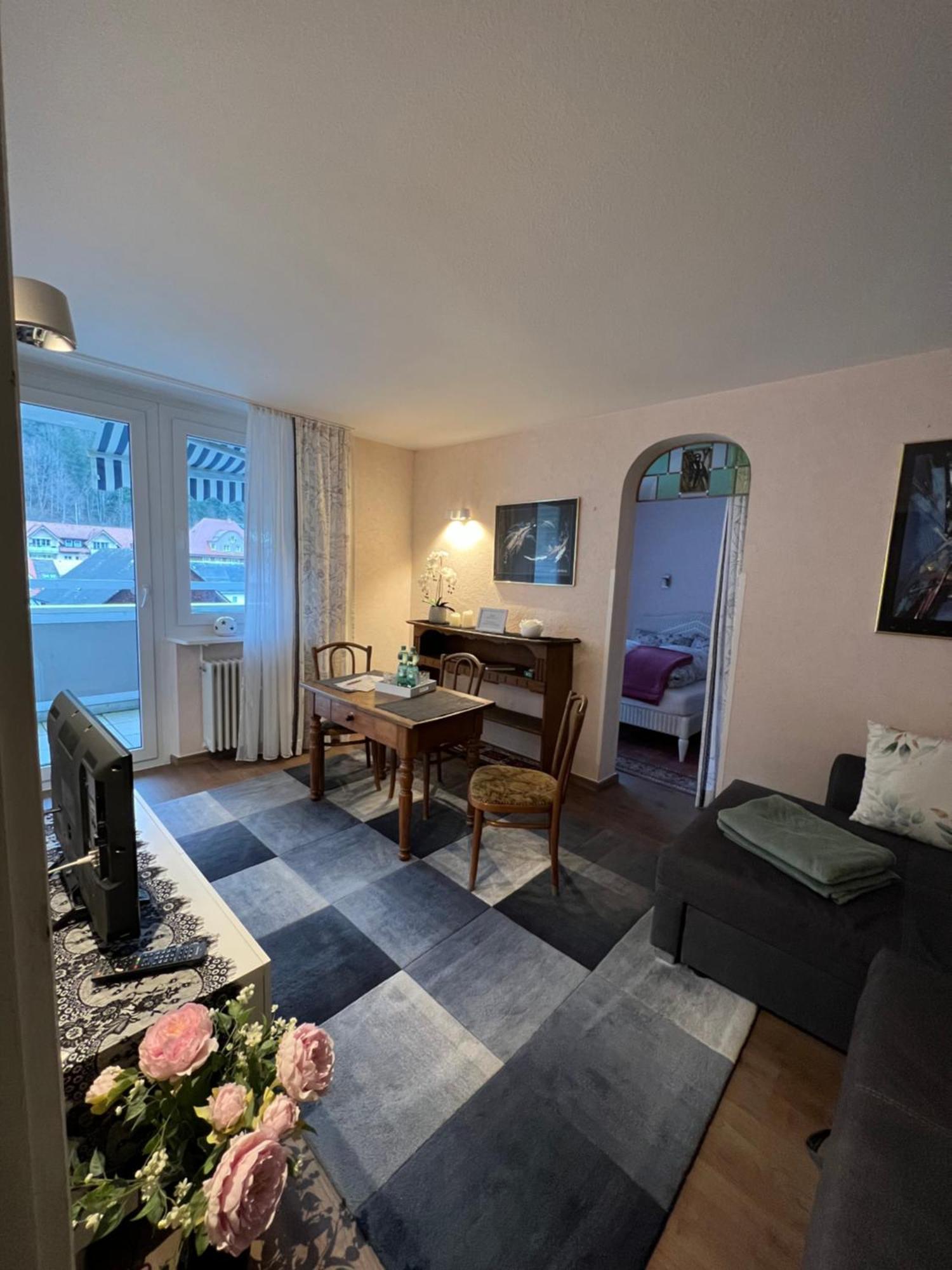 Auszeit Im Schoenen Hochschwarzwald Apartment St. Blasien